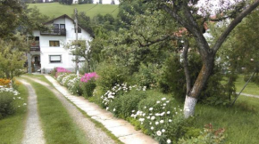 Pensiunea Iulia, Bran